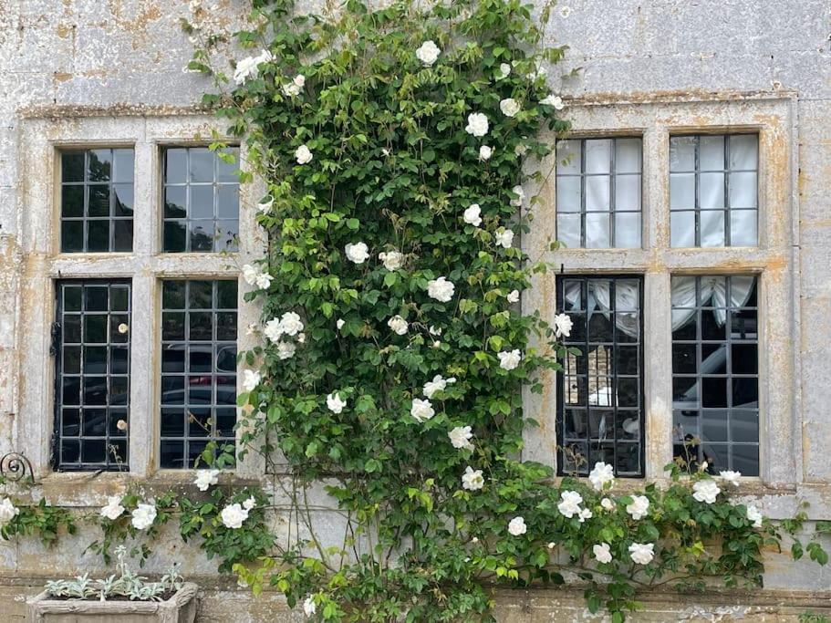 Escape To Ash House 18Th Century Manor In Somerset Martock Zewnętrze zdjęcie